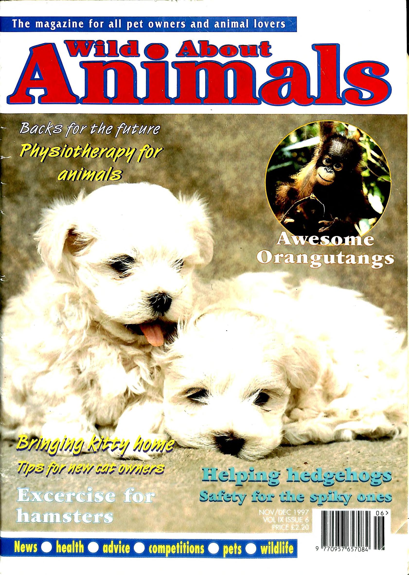 Wild About Animals Vol 9 Issue 6 ( TGMG) : Free Download, Borrow, and  Streaming : Internet Archive
